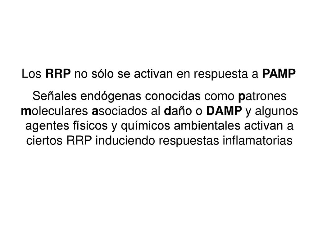 Los RRP no sólo se activan en respuesta a PAMP