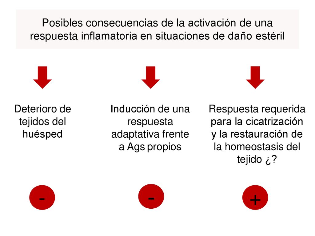 Posibles consecuencias de la activación de una respuesta inflamatoria en situaciones de daño estéril