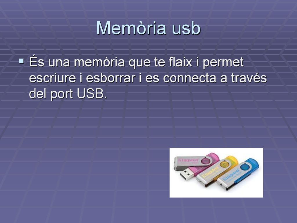 Memòria usb És una memòria que te flaix i permet escriure i esborrar i es connecta a través del port USB.
