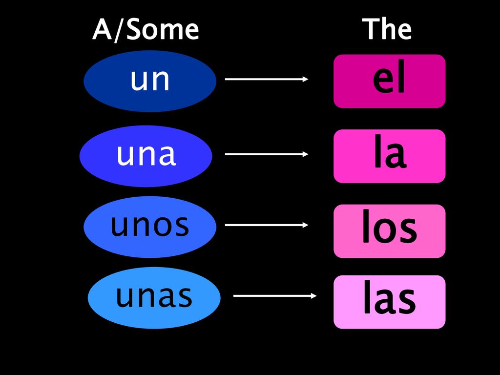 A/Some The un el una la unos los unas las