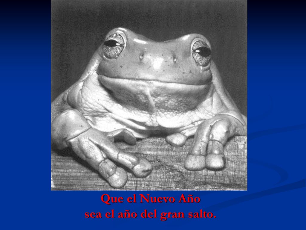 Que el Nuevo Año sea el año del gran salto.