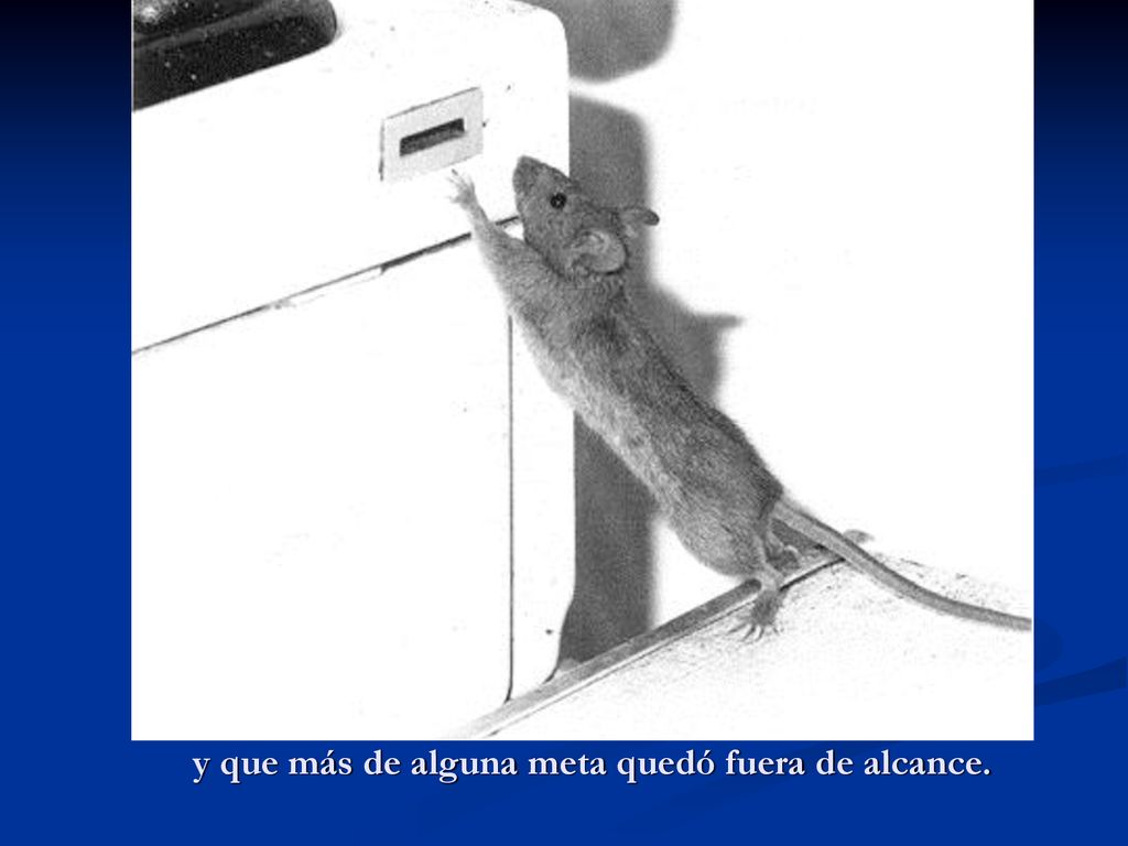 y que más de alguna meta quedó fuera de alcance.