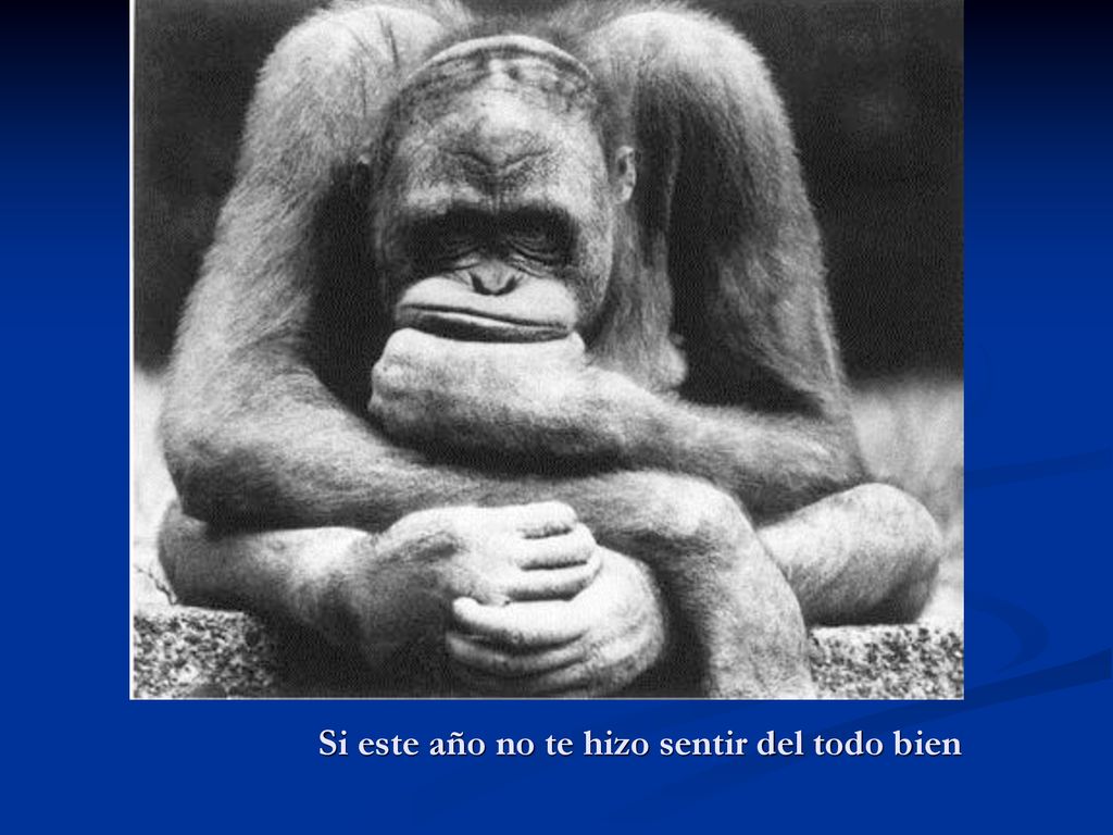 Si este año no te hizo sentir del todo bien