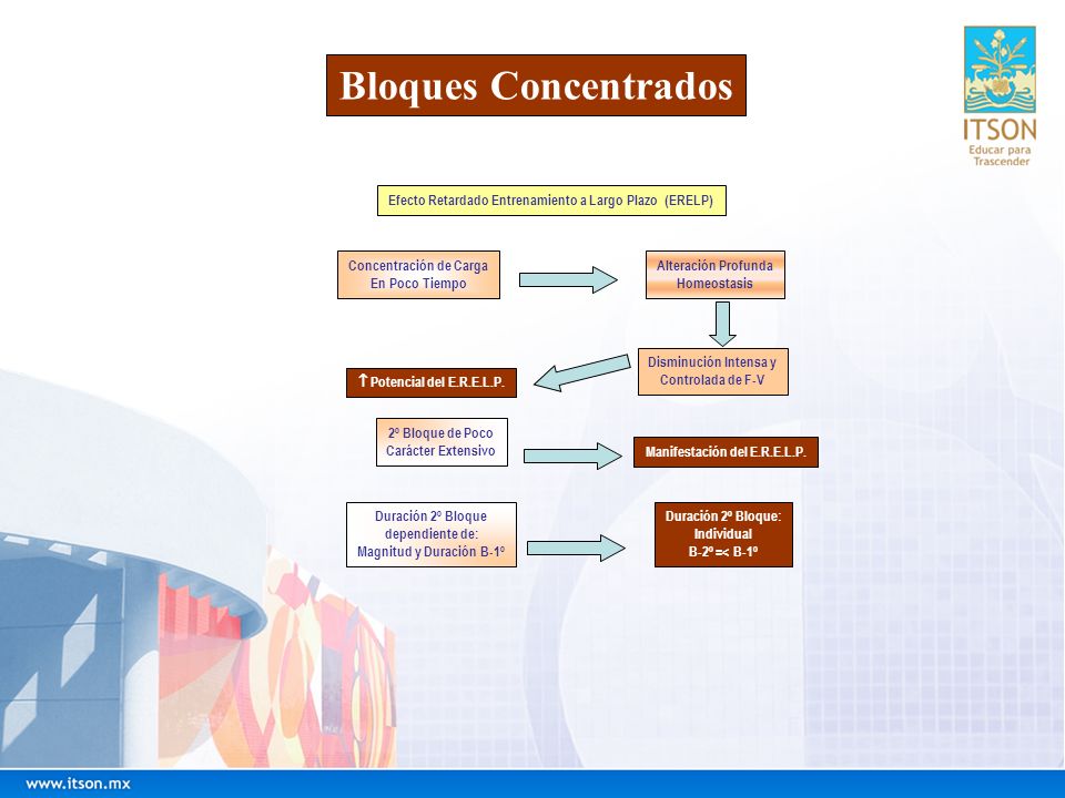 Bloques Concentrados Efecto Retardado Entrenamiento a Largo Plazo (ERELP) Concentración de Carga.