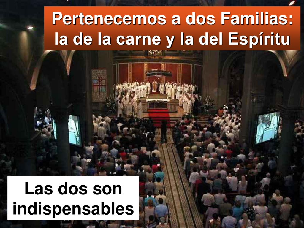 Pertenecemos a dos Familias: la de la carne y la del Espíritu