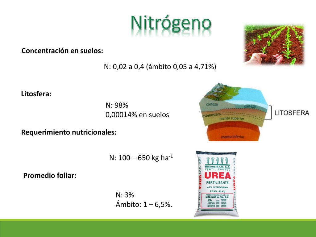 Nitrógeno Concentración en suelos: N: 0,02 a 0,4 (ámbito 0,05 a 4,71%)