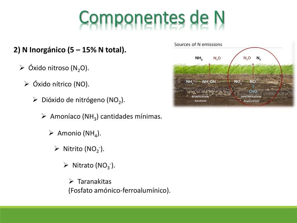 Componentes de N 2) N Inorgánico (5 – 15% N total).