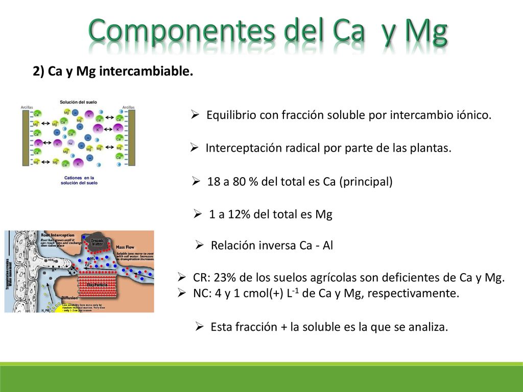 Componentes del Ca y Mg 2) Ca y Mg intercambiable.
