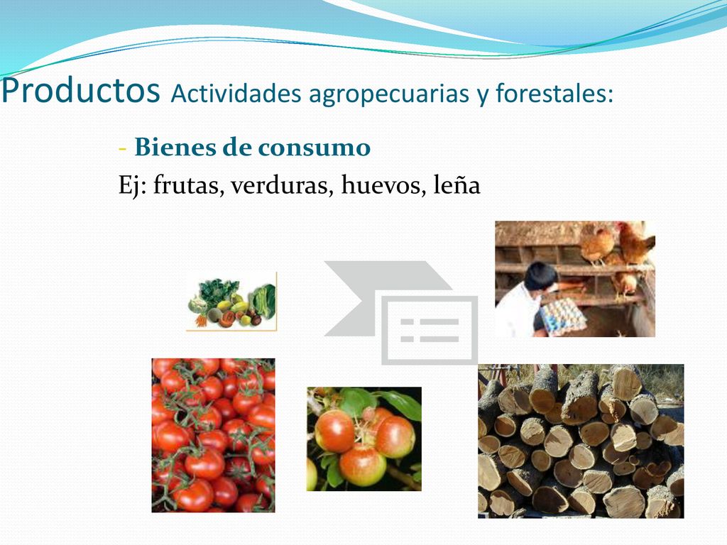 Productos Actividades agropecuarias y forestales: