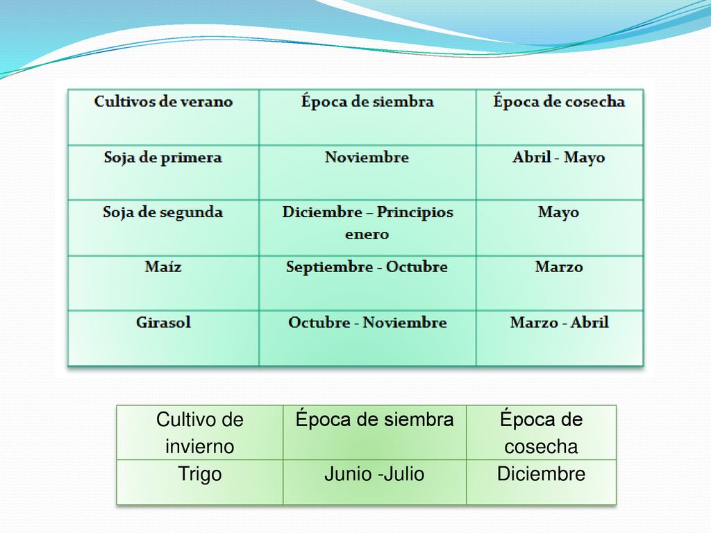 Cultivo de invierno Época de siembra Época de cosecha Trigo Junio -Julio Diciembre