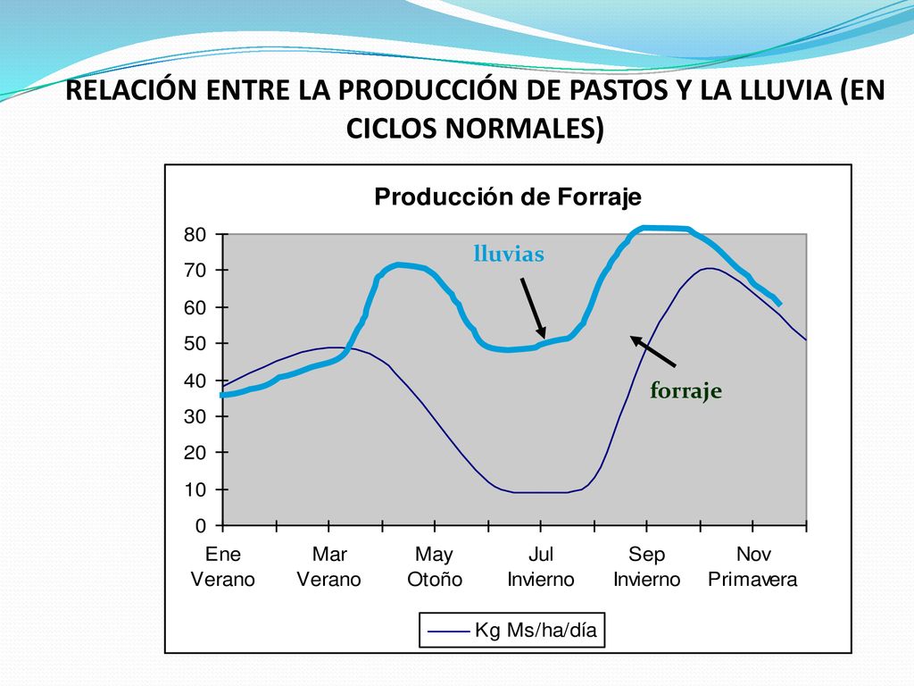 RELACIÓN ENTRE LA PRODUCCIÓN DE PASTOS Y LA LLUVIA (EN CICLOS NORMALES)