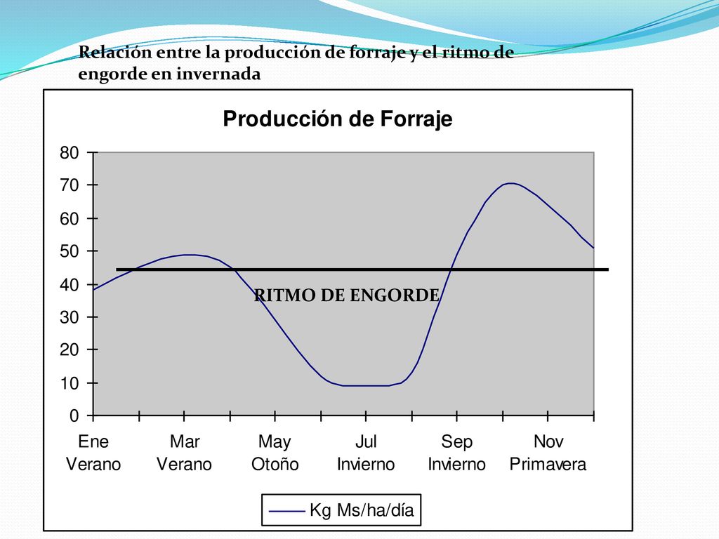 Relación entre la producción de forraje y el ritmo de engorde en invernada