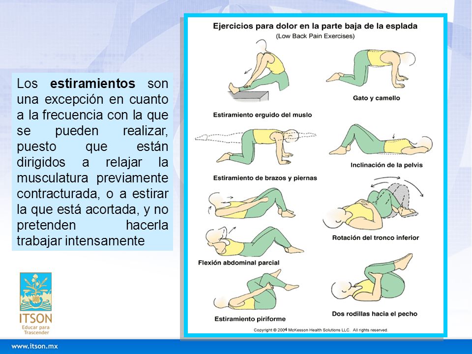 Los estiramientos son una excepción en cuanto a la frecuencia con la que se pueden realizar, puesto que están dirigidos a relajar la musculatura previamente contracturada, o a estirar la que está acortada, y no pretenden hacerla trabajar intensamente
