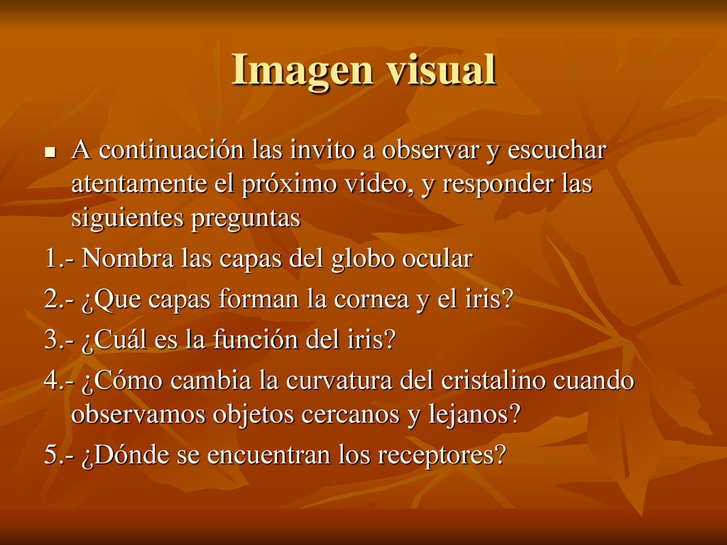 Imagen visual A continuación las invito a observar y escuchar atentamente el próximo video, y responder las siguientes preguntas.