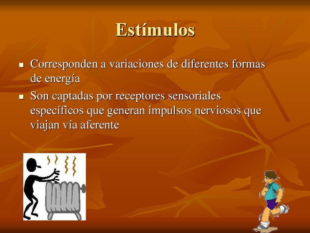 Estímulos Corresponden a variaciones de diferentes formas de energía