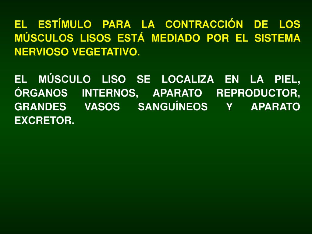 Los linfocitos son las células responsables de las respuestas inmunitarias. Se desarrollan a partir de progenitores linfoides inmaduros y se dividen en dos grandes grupos según donde estos maduren: en la médula ósea (B) o en el timo (T). Los linfocitos B están especializados en la producción de anticuerpos y los linfocitos T son responsables de las respuestas inmunes.