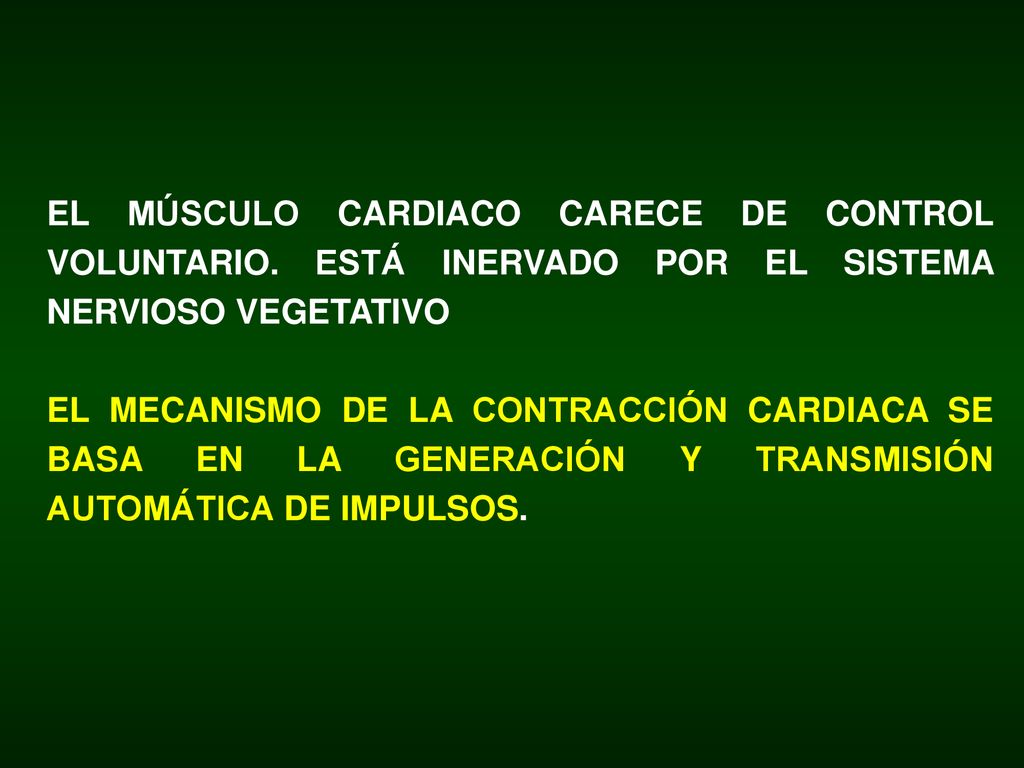 Los linfocitos son las células responsables de las respuestas inmunitarias. Se desarrollan a partir de progenitores linfoides inmaduros y se dividen en dos grandes grupos según donde estos maduren: en la médula ósea (B) o en el timo (T). Los linfocitos B están especializados en la producción de anticuerpos y los linfocitos T son responsables de las respuestas inmunes.