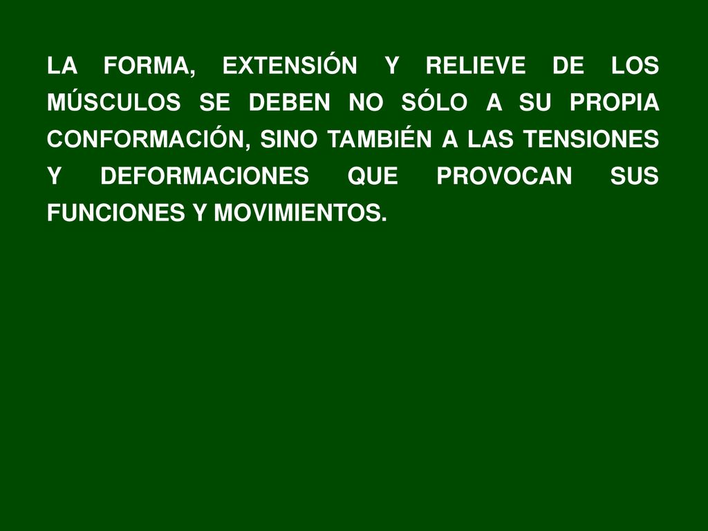 LA FORMA, EXTENSIÓN Y RELIEVE DE LOS MÚSCULOS SE DEBEN NO SÓLO A SU PROPIA CONFORMACIÓN, SINO TAMBIÉN A LAS TENSIONES Y DEFORMACIONES QUE PROVOCAN SUS FUNCIONES Y MOVIMIENTOS.