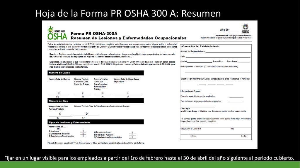 Hoja de la Forma PR OSHA 300 A: Resumen