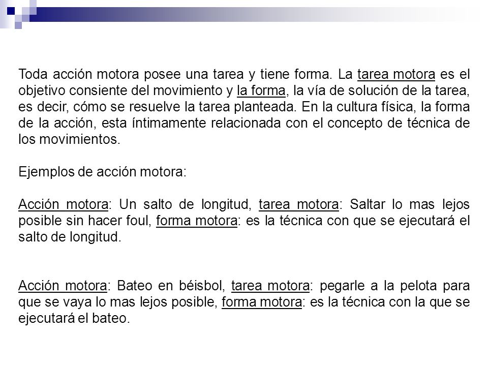 Toda acción motora posee una tarea y tiene forma