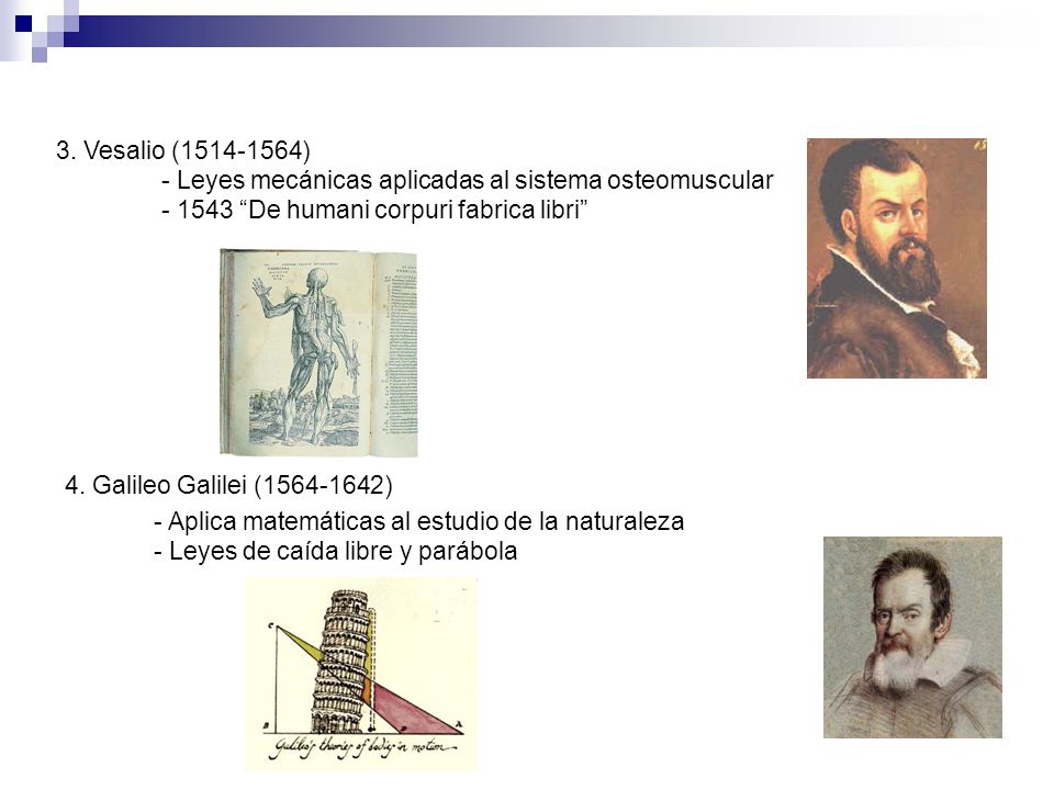 3. Vesalio ( ) - Leyes mecánicas aplicadas al sistema osteomuscular De humani corpuri fabrica libri