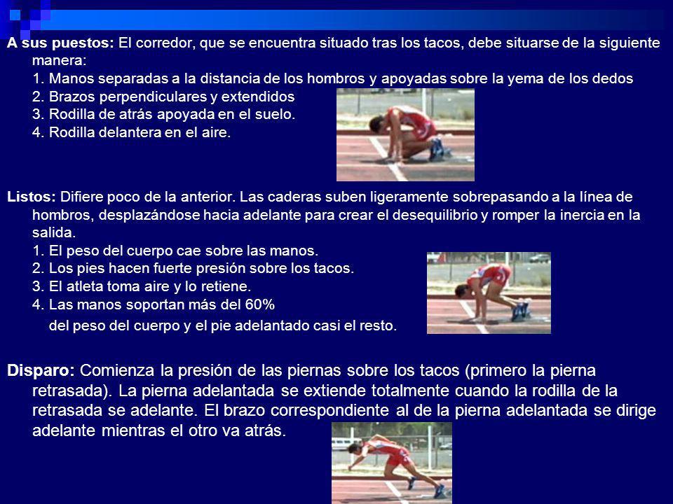 A sus puestos: El corredor, que se encuentra situado tras los tacos, debe situarse de la siguiente manera: 1. Manos separadas a la distancia de los hombros y apoyadas sobre la yema de los dedos 2. Brazos perpendiculares y extendidos 3. Rodilla de atrás apoyada en el suelo. 4. Rodilla delantera en el aire.