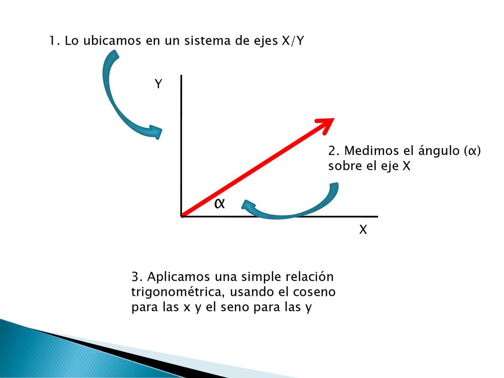 α 1. Lo ubicamos en un sistema de ejes X/Y Y