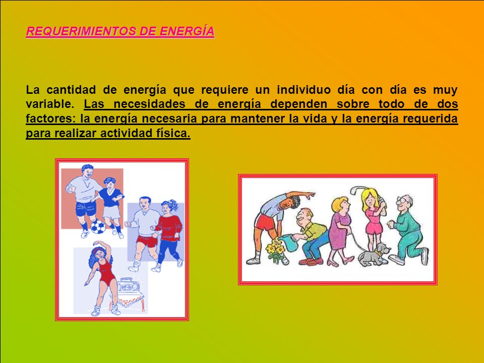 REQUERIMIENTOS DE ENERGÍA