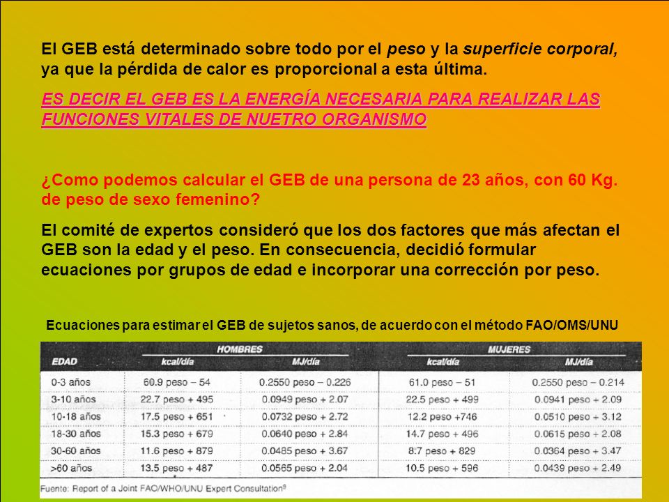 El GEB está determinado sobre todo por el peso y la superficie corporal, ya que la pérdida de calor es proporcional a esta última.
