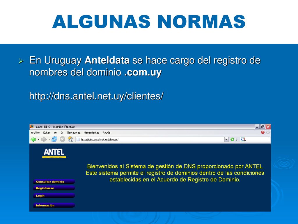 ALGUNAS NORMAS En Uruguay Anteldata se hace cargo del registro de nombres del dominio .com.uy