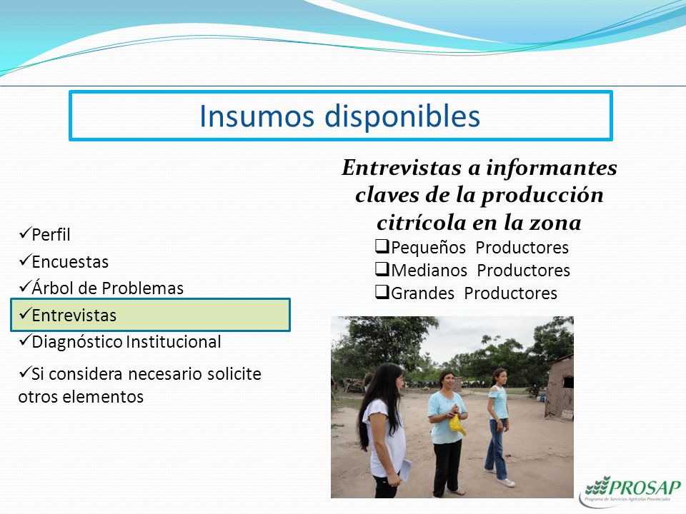 Entrevistas a informantes claves de la producción citrícola en la zona