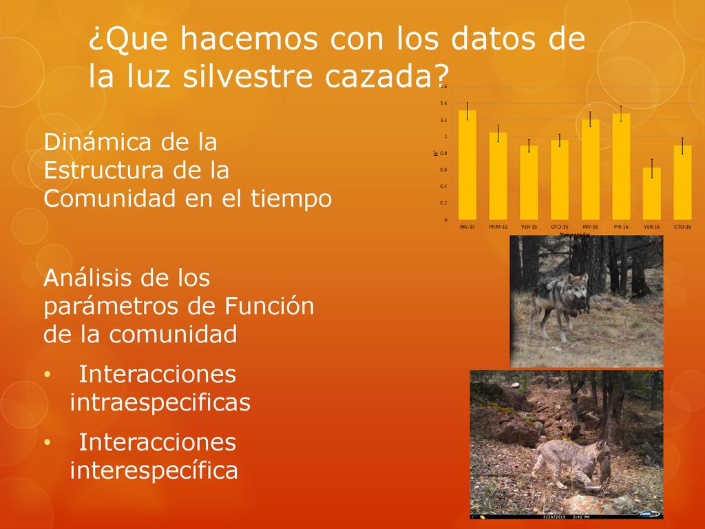 ¿Que hacemos con los datos de la luz silvestre cazada