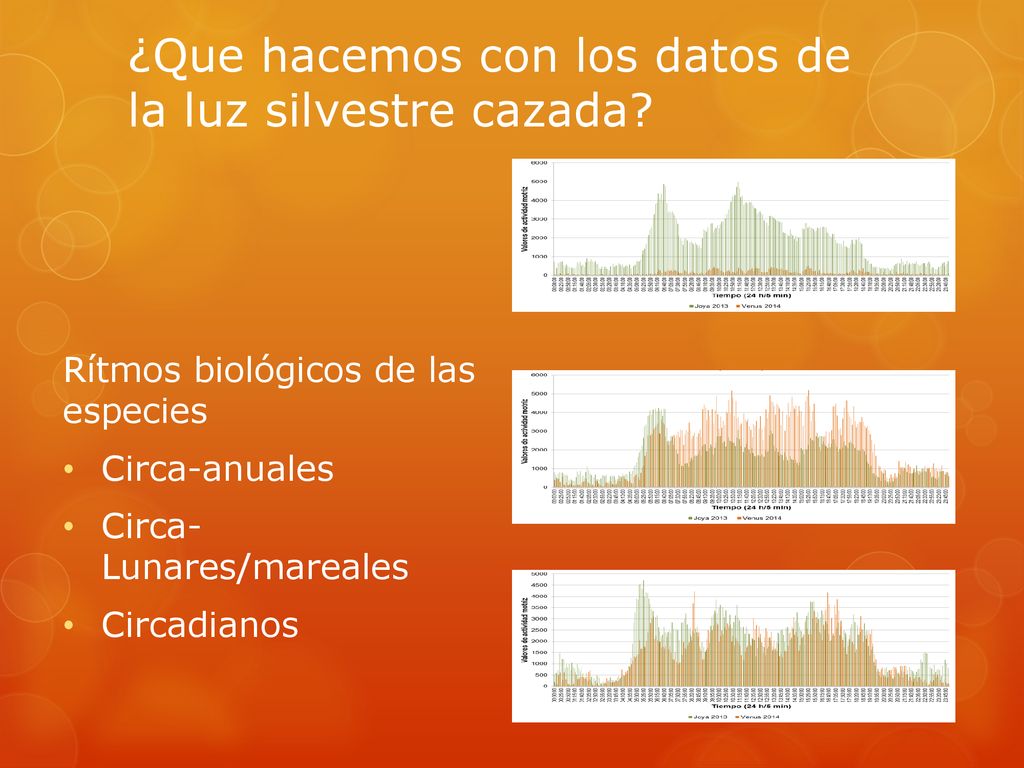 ¿Que hacemos con los datos de la luz silvestre cazada