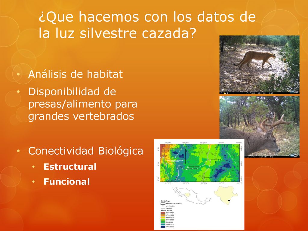 ¿Que hacemos con los datos de la luz silvestre cazada