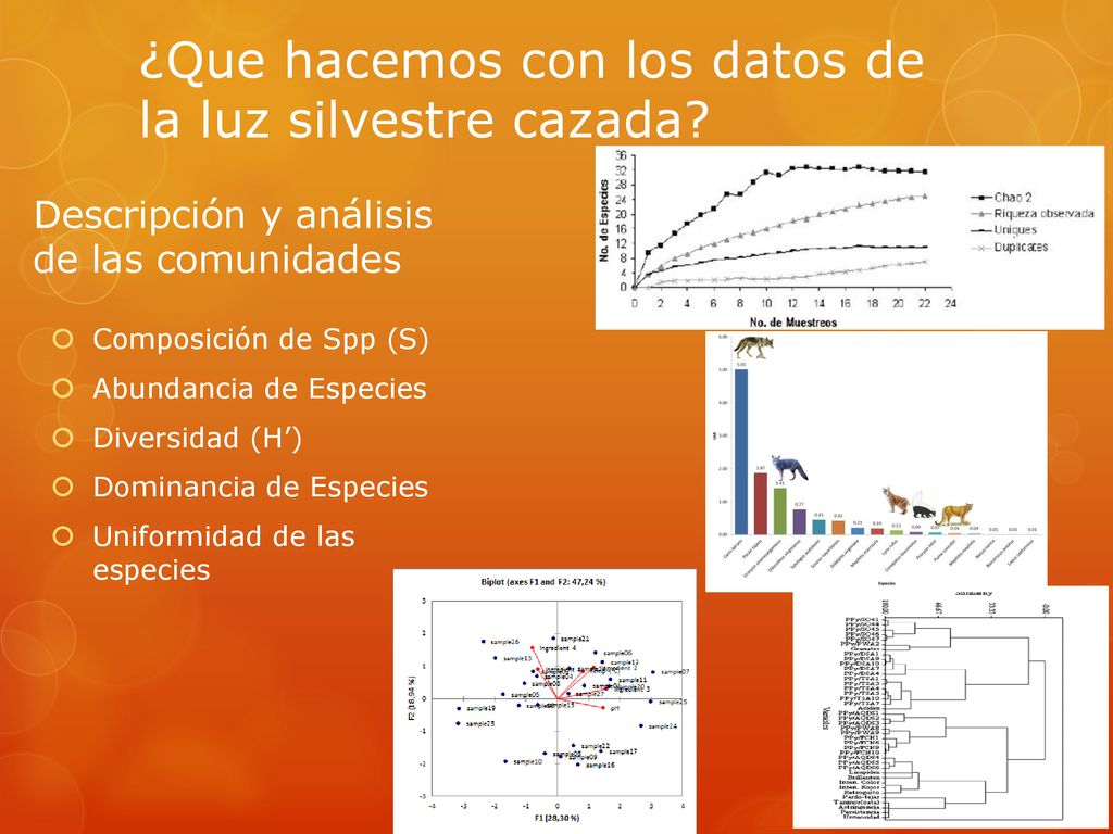¿Que hacemos con los datos de la luz silvestre cazada