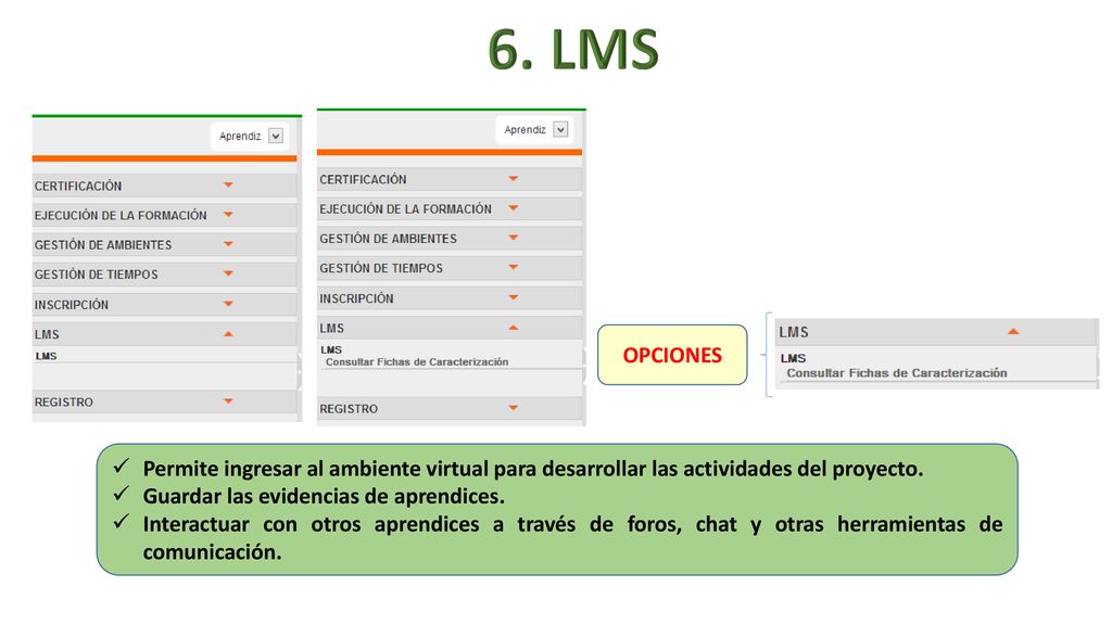 6. LMS OPCIONES. Permite ingresar al ambiente virtual para desarrollar las actividades del proyecto.
