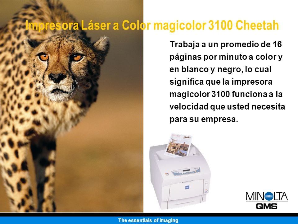 Impresora Láser a Color magicolor 3100 Cheetah