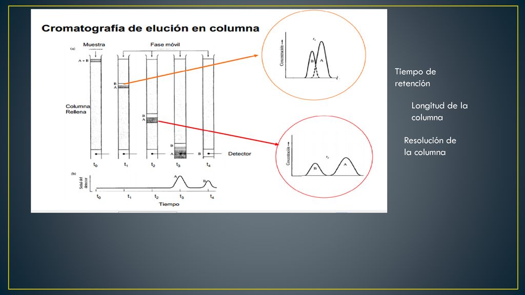 Tiempo de retención Longitud de la columna Resolución de la columna