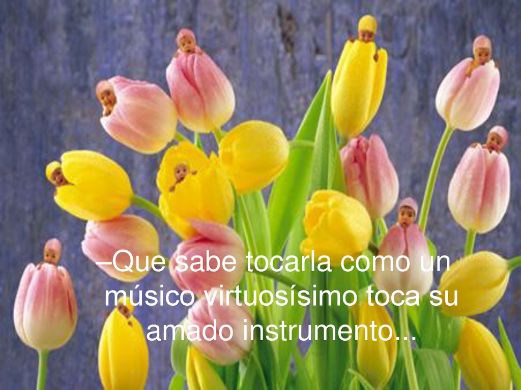 Que sabe tocarla como un músico virtuosísimo toca su amado instrumento...