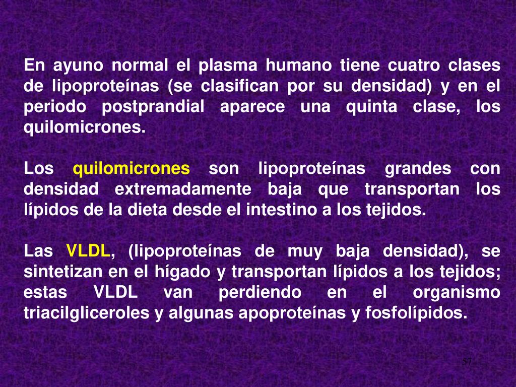 En ayuno normal el plasma humano tiene cuatro clases de lipoproteínas (se clasifican por su densidad) y en el periodo postprandial aparece una quinta clase, los quilomicrones.