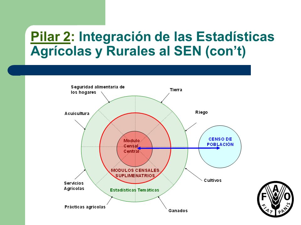 Pilar 2: Integración de las Estadísticas Agrícolas y Rurales al SEN (con’t)