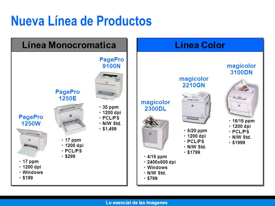 Nueva Línea de Productos