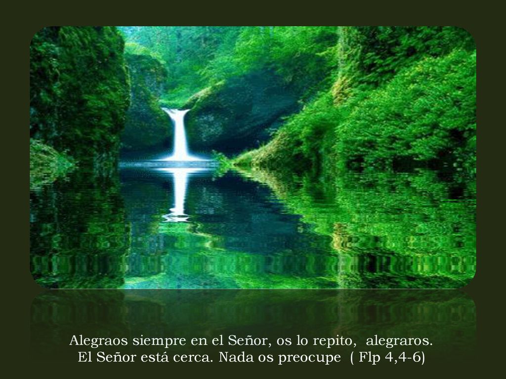 Alegraos siempre en el Señor, os lo repito, alegraros