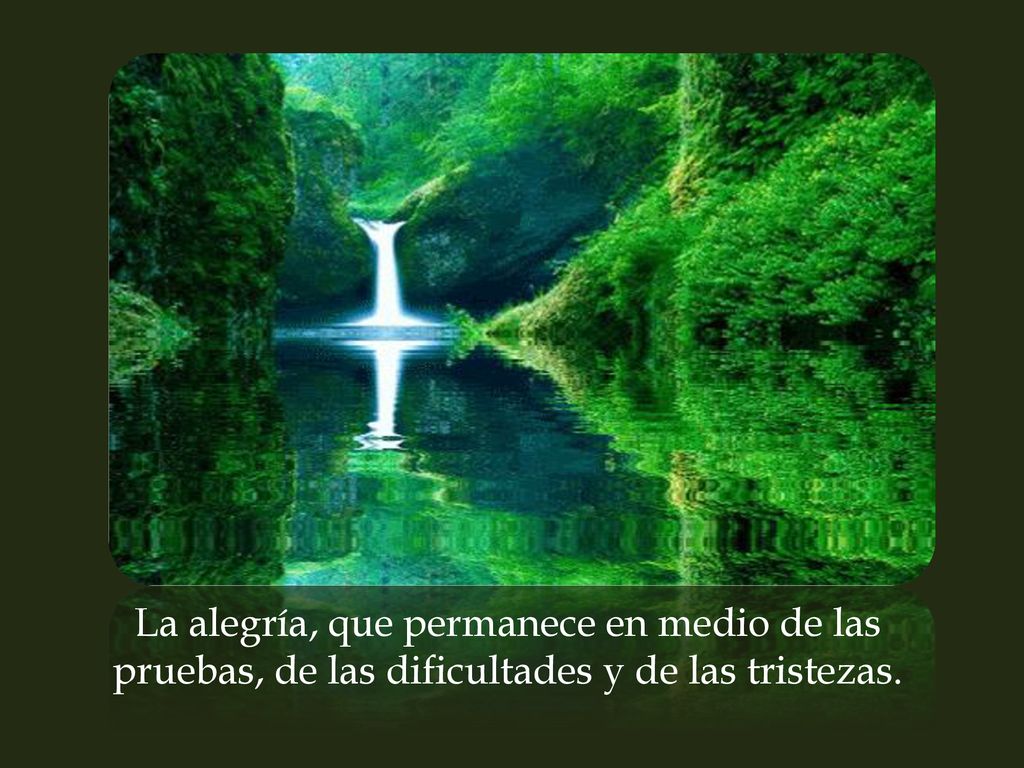 La alegría, que permanece en medio de las pruebas, de las dificultades y de las tristezas.