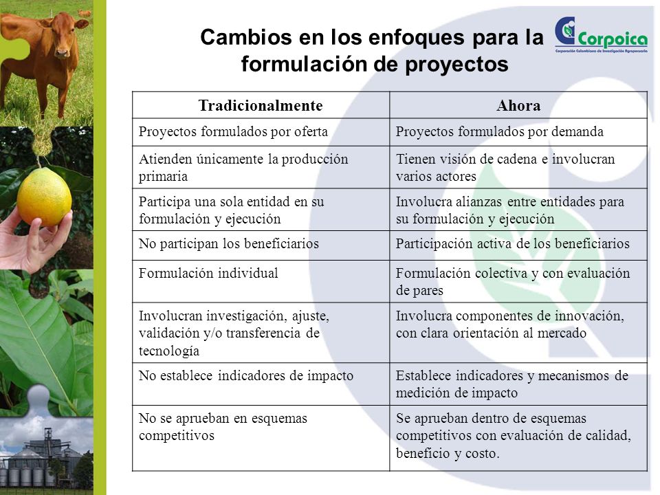 Cambios en los enfoques para la formulación de proyectos