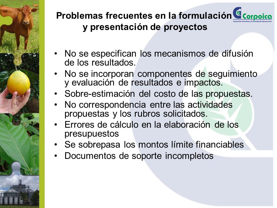 Problemas frecuentes en la formulación y presentación de proyectos