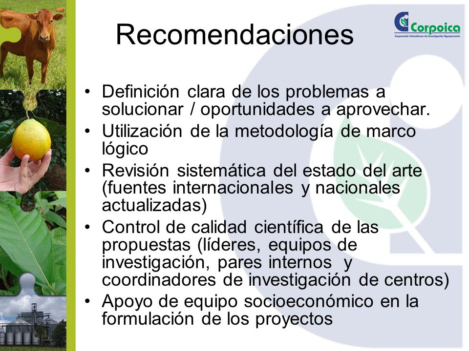 Recomendaciones Definición clara de los problemas a solucionar / oportunidades a aprovechar. Utilización de la metodología de marco lógico.
