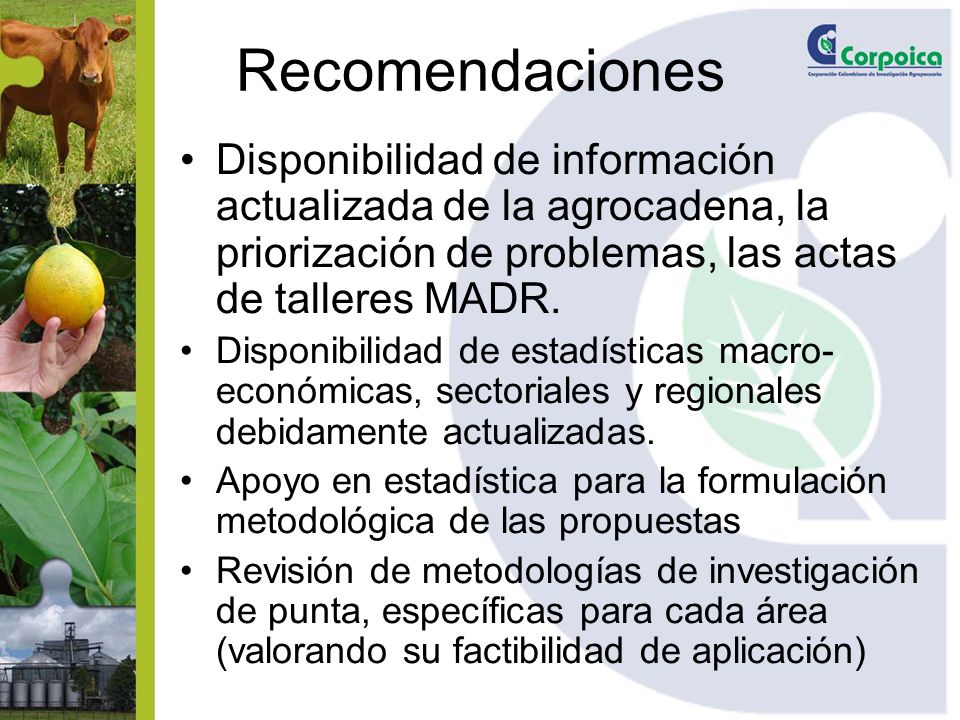 Recomendaciones Disponibilidad de información actualizada de la agrocadena, la priorización de problemas, las actas de talleres MADR.