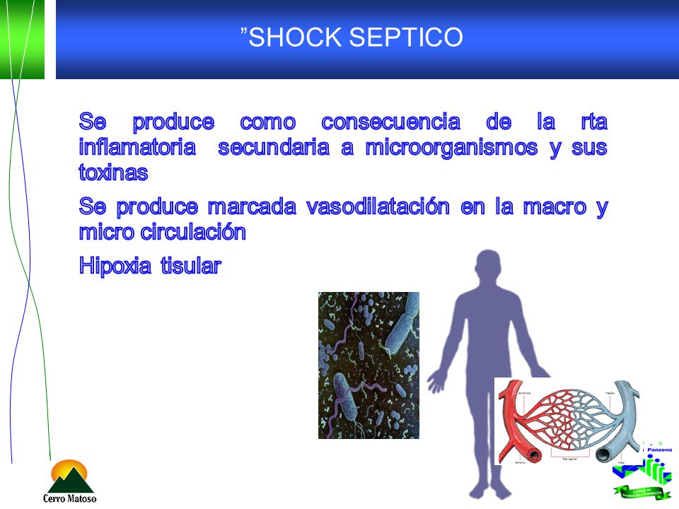 SHOCK SEPTICO Se produce como consecuencia de la rta inflamatoria secundaria a microorganismos y sus toxinas.