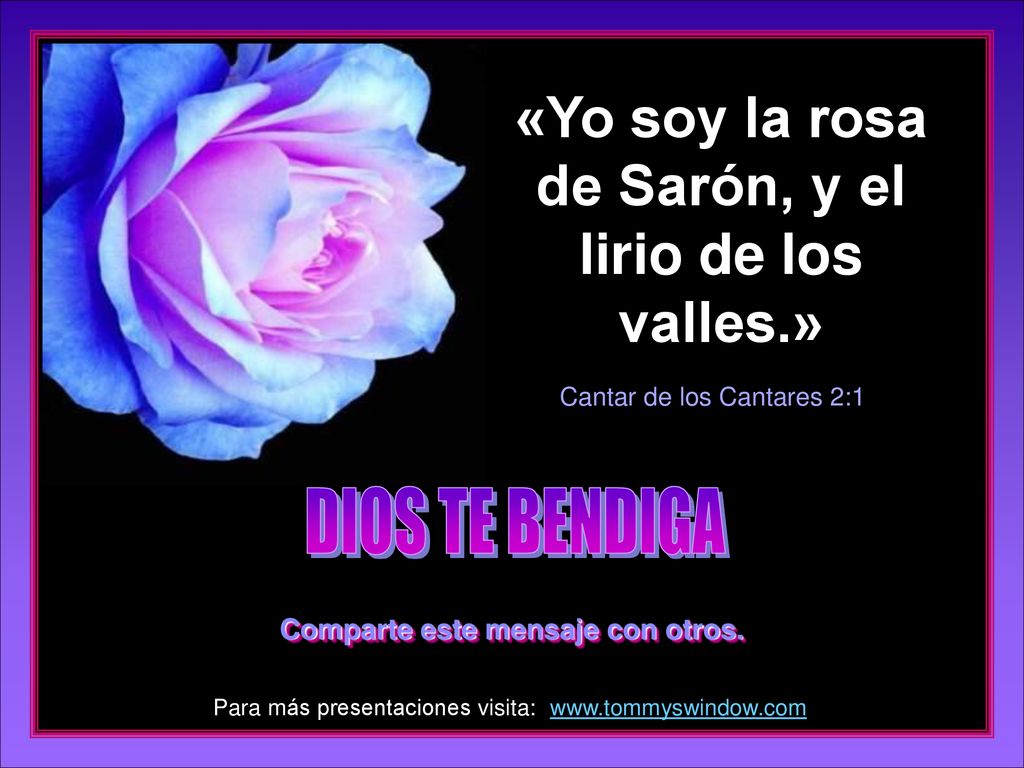 «Yo soy la rosa de Sarón, y el lirio de los valles.»